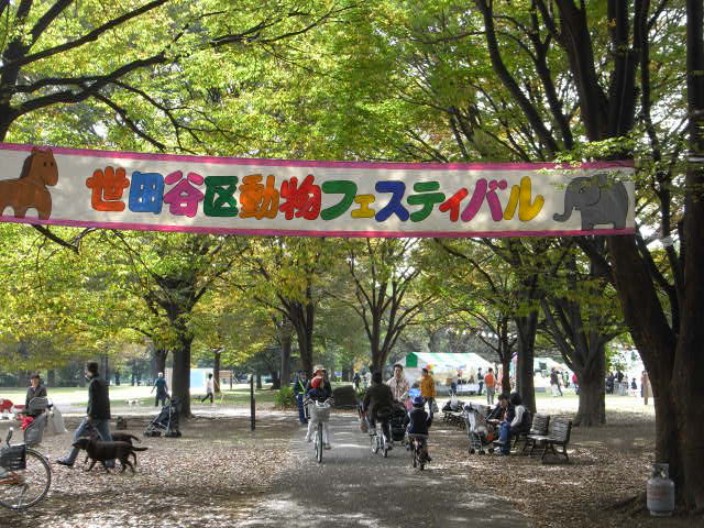 世田谷区動物フェスティバル
